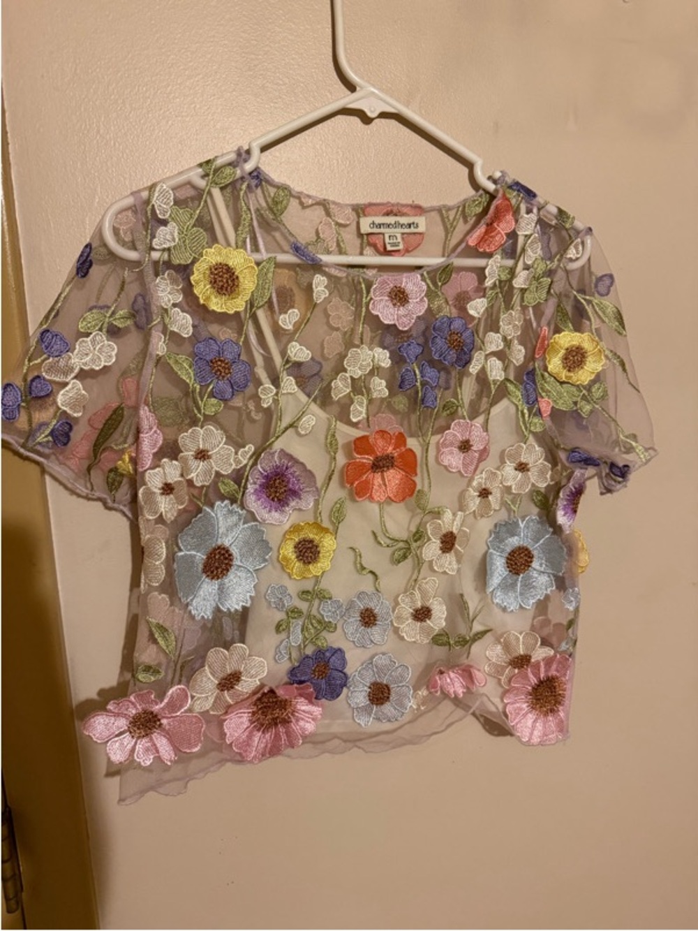 Charmingly Sheer Floral Embroidered Crop Top - Multi